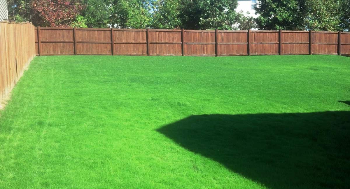 Lawn Care Southern Maryland